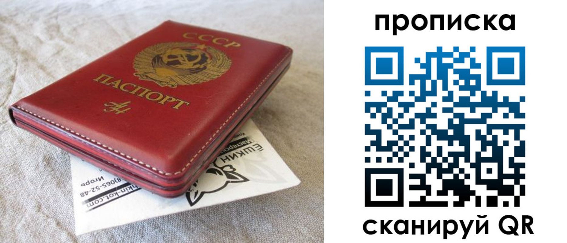 прописка для школы в Валдае